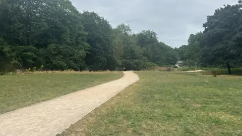 A path going through Trefusis Park. There is grass either side of it with lots of trees in the background.