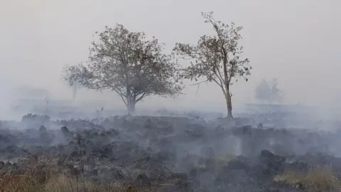 Getty Images Trees and smoke billowing from a scorched area during a wildfire in the Hautes Fagnes (High Fens) nature reserve