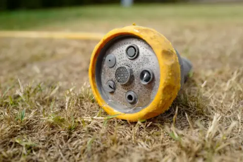 Getty Images Hosepipe with a yellow head rests on dry, yellow grass. A yellow hosepipe lead is in the background.
