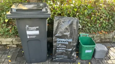 BBC Four types of bins on a driveway