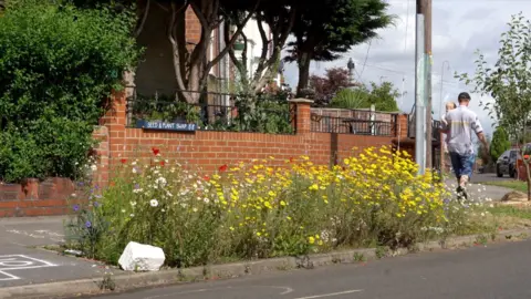 Oli Constable/BBC Yellow flowers by the road side