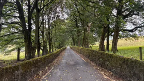 Local Democracy Reporting Service Bradbury Lane surrounded by trees and stone walls