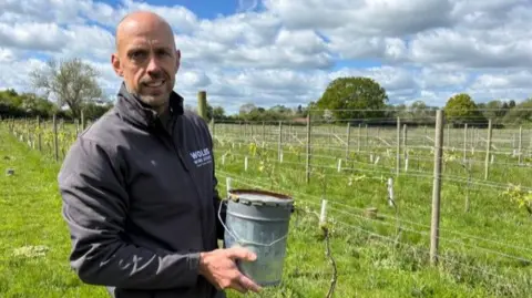 Man holds large candle in vineyard