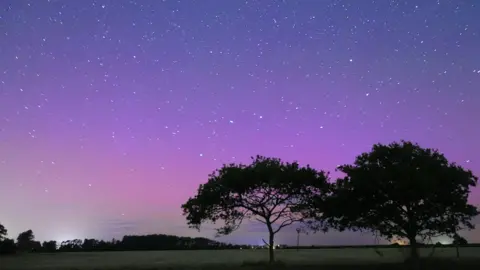 BBC Weather Watchers/KeeponRunning A bright purple sky lighting up an empty field, with two large trees in the foreground and a wooded area in the distance. Stars fill the sky which is darker purple at the top to lighter at the bottom