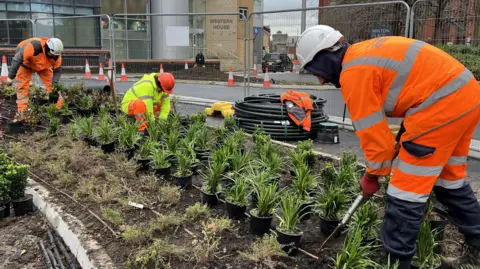 Workers in high-visibility trousers and jackets planting greenery on the Bus Boulevard site