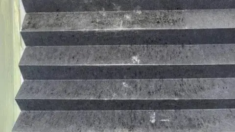 ldrs Dark mould marks run all down a grey window blind.