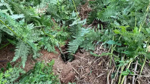 Falmouth Coastguard Rescue Team Picture of 15ft hole 