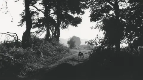Johnnie Shand Kydd A black and white landscape image featuring trees and bushes. A dog is in the middle looking to its left. 