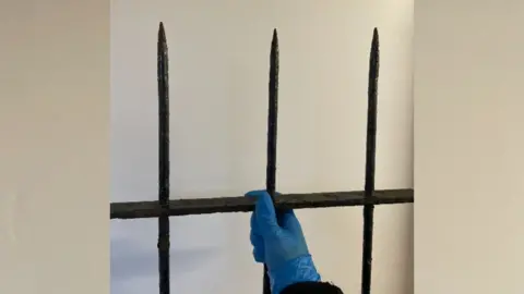 Leicestershire Wildlife Hospital A blue gloved hand holding up a section of black metal fence with a narrow sharp end