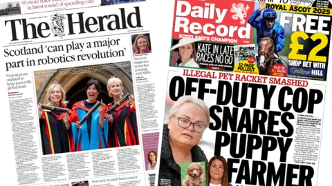 Papers composite - Herald and Record 