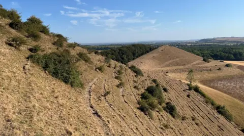 WeatherWatchers/West Country Tiger Battlesbury Camp near Warminster during the heatwave, as seen from a neighbouring hill.