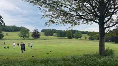 George Carden/BBC People walking their dogs in one of the fields in the park which has lots of trees and is set within rolling hills