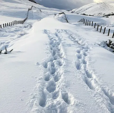 Network Rail Scotland Snowy footprints on a rail line covered with deep snow