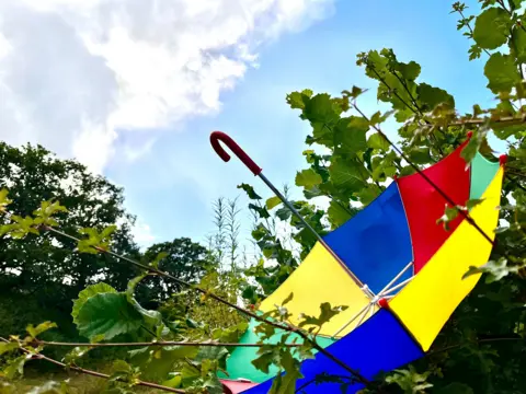 Kim Osborn A colourful umbrella upside down in a tree