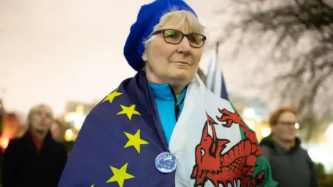 Getty Images An older woman wearing two flags - one belonging to the European Union, the other the Red Dragon of Wales. Both flags are wrapped around her. She has a pro-EU badge in the middle of the two. 