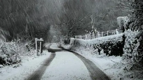 A snow-covered country lane with tyre tracks alongside a hedge.