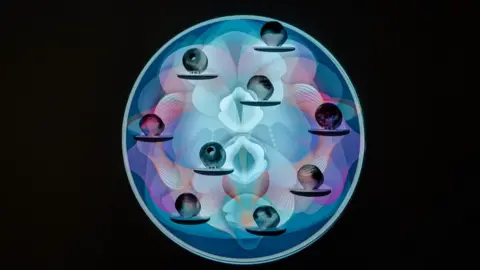 Kirstin McEwan Artwork