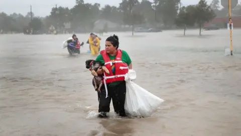 Getty Images harvey