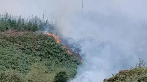 Fire and smoke across green moorland and forest.