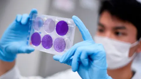 Getty Images A researcher works on virus replication in order to develop a vaccine against the coronavirus