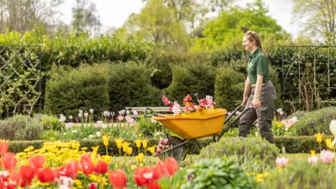 A girl with braided hair wearing grey cargo trousers and a green t-shirt. She is wheeling a yellow wheelbarrow through a flowerbed, which is blooming with colourful tulips. 