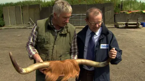 BBC Farmer Victor Chestnutt shows Keith Morrison of the Health and Safety Executive the horns of the cow which almost killed him