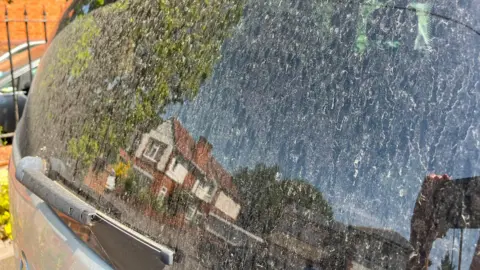 Liz Blackshaw The rear windscreen of a car covered in dust 