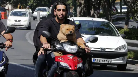 An Iranian couple on a motorbike with their dog in front ride on a highway in Tehran in 2022
