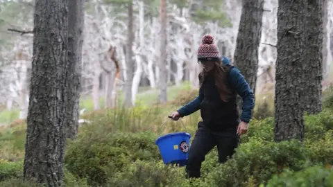 RZSS Larvae release work