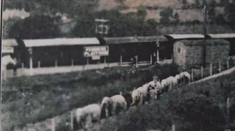 An old black and white grainy photo of a line of elephants walking down the path from Penmere station 