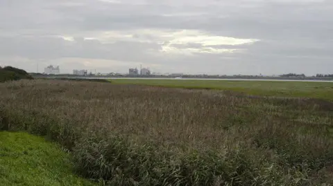 A shot, from a distance, of the former ICI works in Thorton-Cleveleys. It can be seen on the horizon over marsh land.