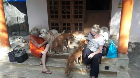 Street Dog watch Visitors