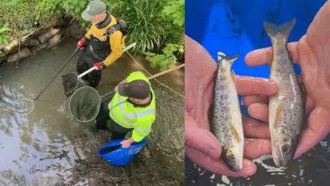 River Thame Conservation Trust Volunteers work on the Chalgrove Brook