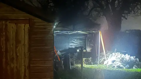 BBC A forensic tent stands on a grassed area behind a wooden shed. A number of bags are visible on the right of the image. The sky is dark.