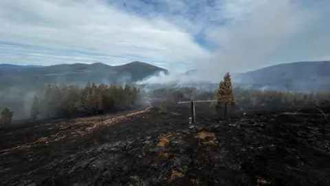 SFRS Scorched earth after a fire has been put out