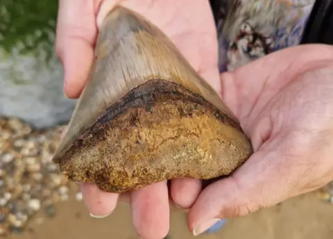 The 10cm-long (4in) tooth Ben found at Walton-on-the-Naze in Essex