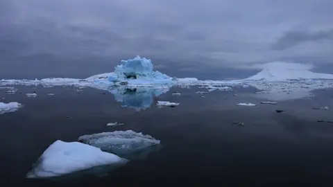 Victoria Gill Antarctica