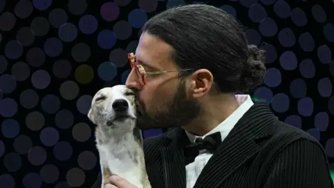Getty Images Four-year-old whippet Miuccia from Italy kissing her handler who is wearing a black tuxedo. Miuccia has her eyes closed and is being held close. 