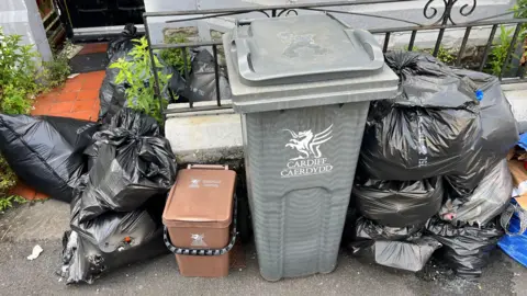 A general waste bin and food bin outside a house in Cathays. Surrounding the bin are piles of black bin bags. Some of the black bin bags have holes in them.