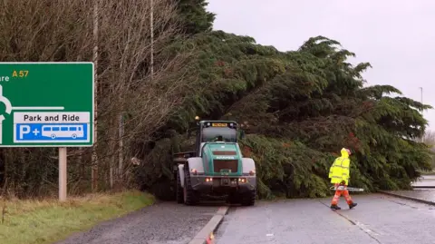 Very large fallen tree blocking entire road, digger pictured in front of it with man in hi viz holding a chainsaw