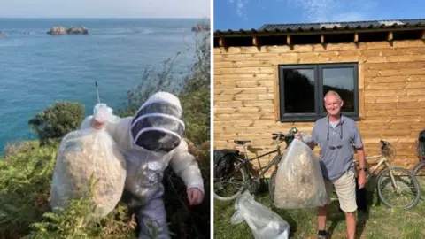 States of Guernsey Hornets nest