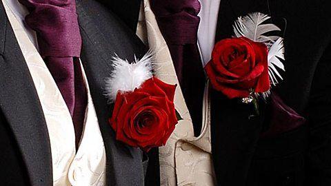 Carnations and wedding suits