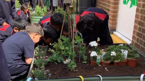 A group of school children planting plants, by a brick wall. They are wearing school tops, most are bending over and you cannot see their faces. 