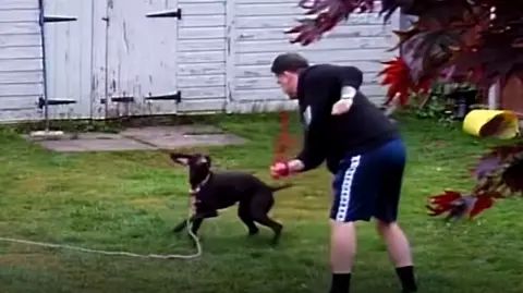 RSPCA A man is seen brandishing what appears to be a red lead at a black dog in a garden. There is an outbuilding visible in the background. The dog is tied to a lead and is on a lawn. The man is wearing a black hoodie and dark blue shorts.
