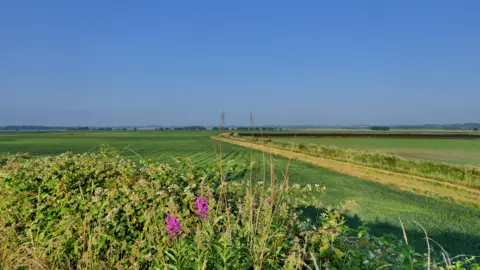 Daves Patch/Weather Watchers A landscape image of green fields against a blue sky. Bushes with two pink flowers can be seen in the foreground.