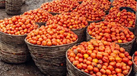 Getty Images Masses of tomatoes are held in woven baskets