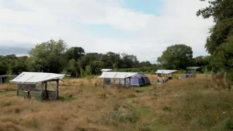 A campsite with long yellow and green grasses. Across the field there are a number of small shelters and a couple of tents. The field is surrounded by trees and hedgerows.
