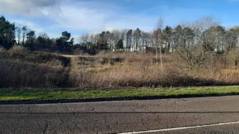 The site of the proposed development. The plot, which is currently overgrown, is near a two-lane road.