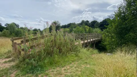 A green field with overgrown bushes and grass. There is a wooden bridge over some water.