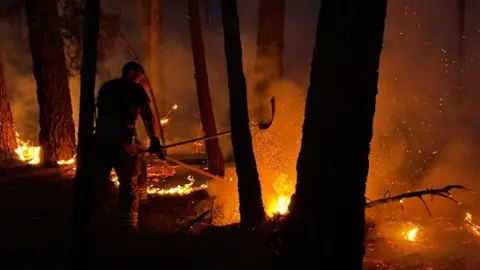 DWFRS Firefighter standing among trees and ground on fire using a beater to put the fire out. It is night.
